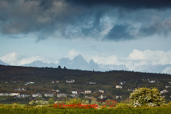 ireland-2013-338