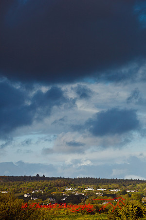 ireland-2013-339