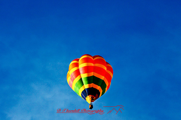 midland-balloon-2010_01