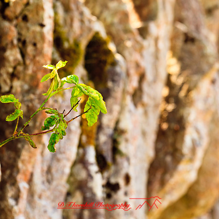 ireland-2013-218