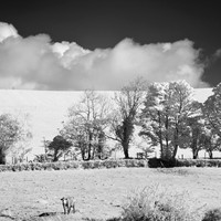 ireland-2013-262