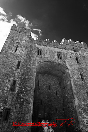 ireland-2013-433
