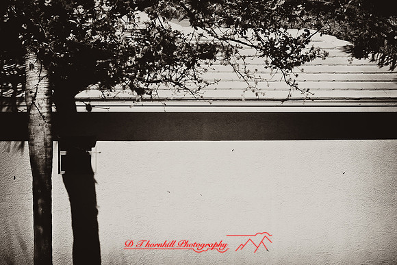 florida-2009-images-infrared_08-nik.jpg