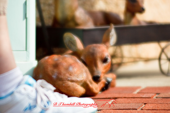 assorted-images-2010_038