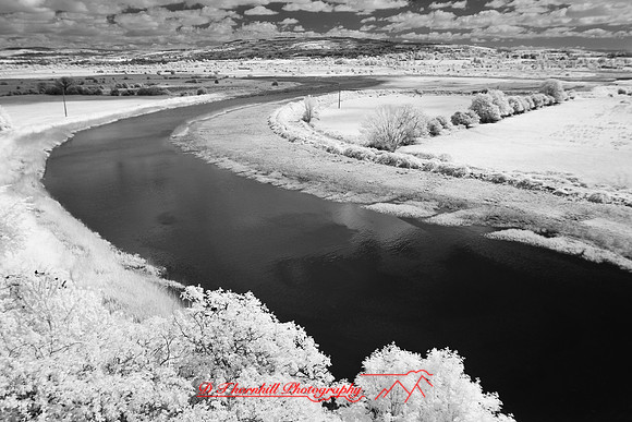 ireland-2013-434