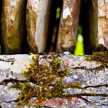 ireland-2013-217