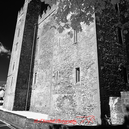 ireland-2013-425