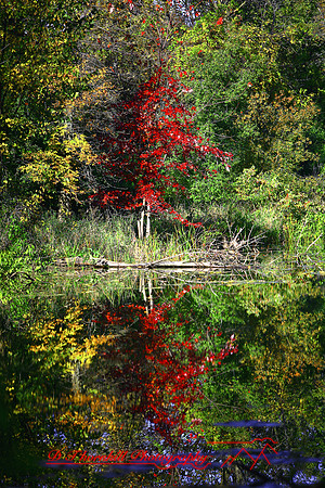 shiawasse-oct-2006_026