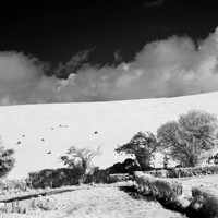 ireland-2013-260