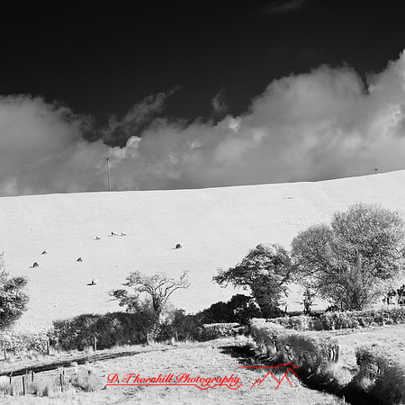 ireland-2013-260