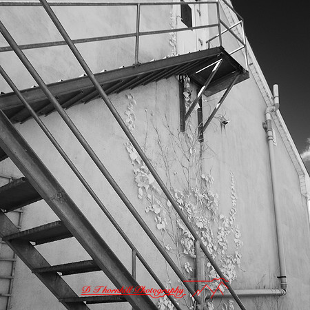 ireland-2013-462