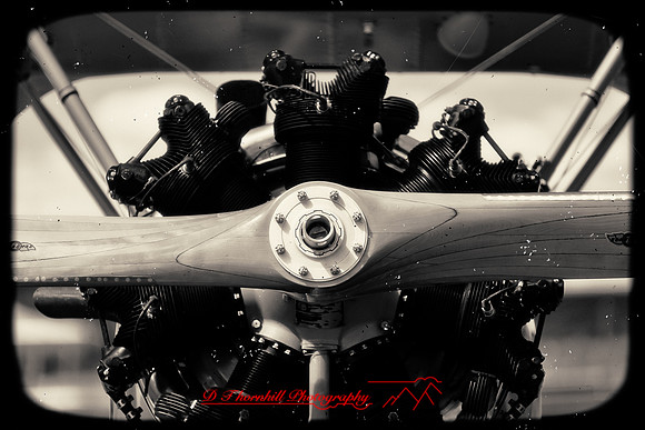 stearman-fly-in-2011-27-nas