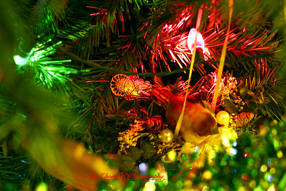 assorted-images-2006_76