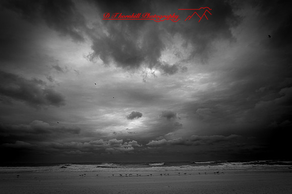 florida - 2022 - spring - 067