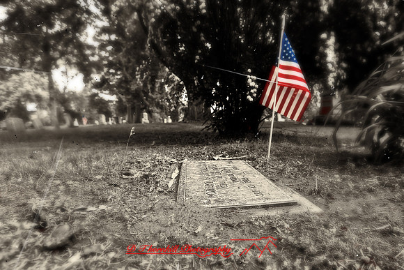 assorted_images-2011-133-nas