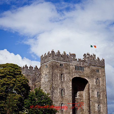 ireland-2013-331
