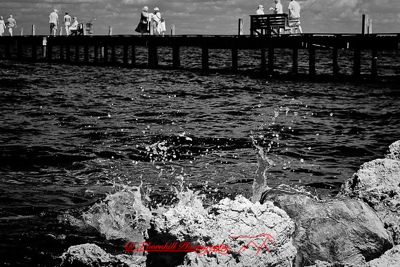 florida-2009-images-infrared_03.jpg