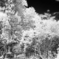 ireland-2013-443