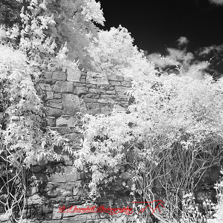 ireland-2013-443