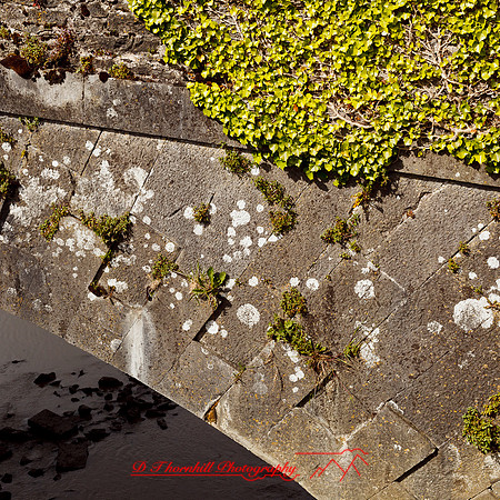 ireland-2013-329