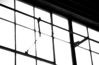 assorted-images-2006_013