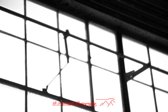 assorted-images-2006_013