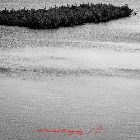 florida-march-2016-031