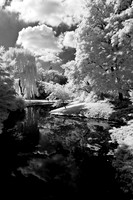 dow-gardens-infrared-2011-05-nas