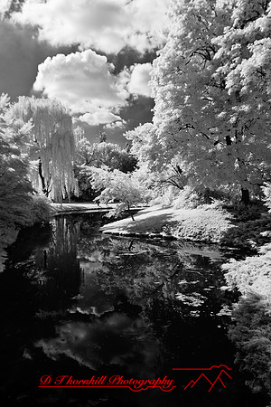 dow-gardens-infrared-2011-05-nas
