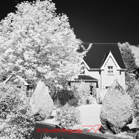 ireland-2013-468