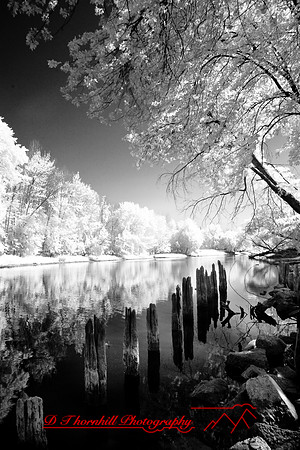 infrared-2008_120