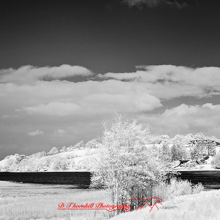 ireland-2013-252