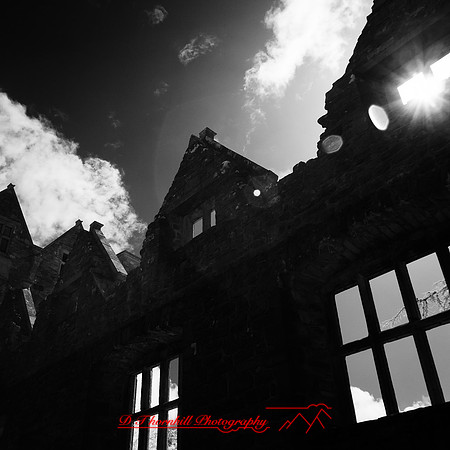 ireland-2013-280