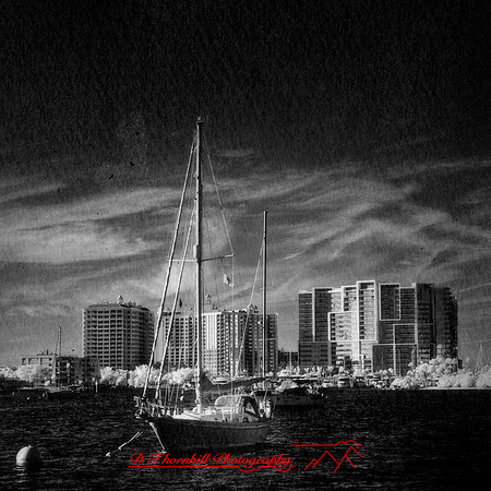 FL-March 2018-033_DxO