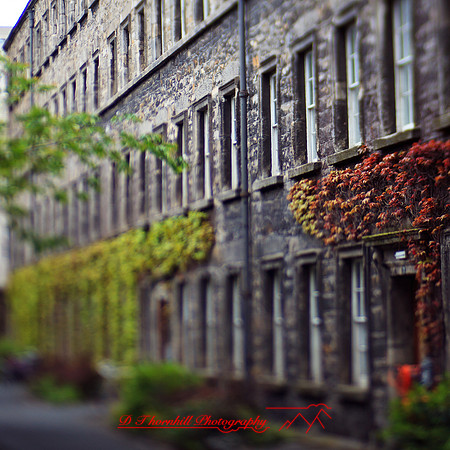 ireland-2013-355-nas