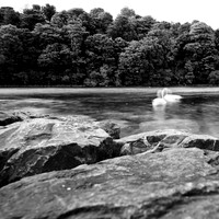 ireland-2013-239