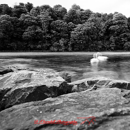 ireland-2013-239