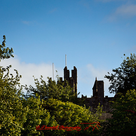 ireland-2013-342