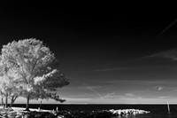 florida-infrared-images-2011-11