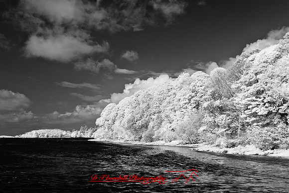ireland-2013-266