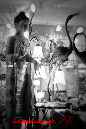 florida-2010-infrared-images_04