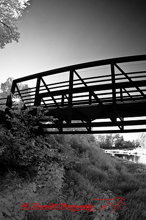 infrared-2008_106