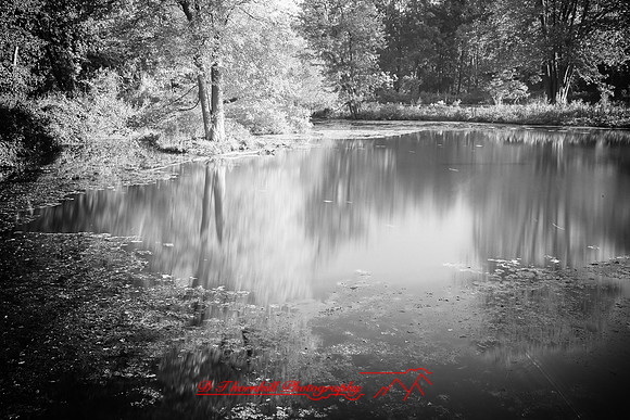 shiawasse_sept-2008_11-nik.jpg