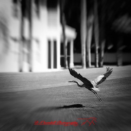 florida-nov-2015-color-003-nas
