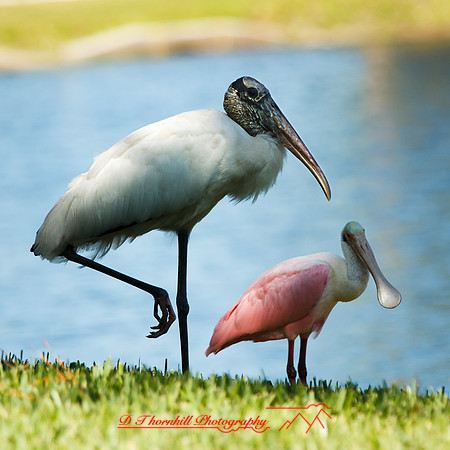 florida-nov-2015-color-004