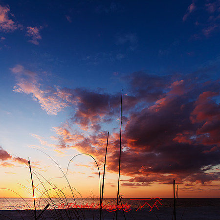 florida-nov-2015-color-007-nas