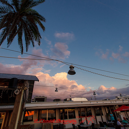 florida-nov-2015-color-008