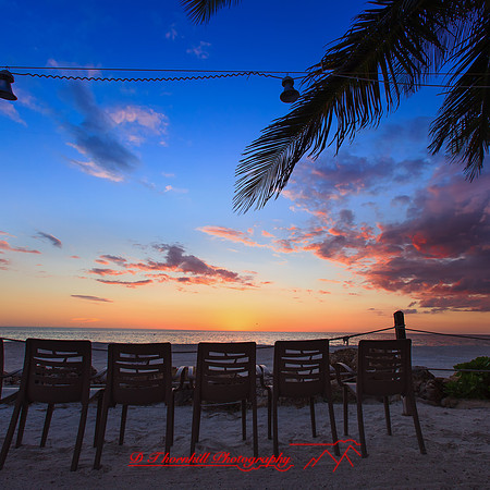 florida-nov-2015-color-009-nas