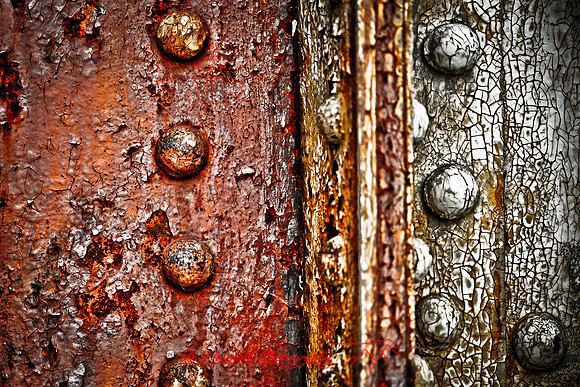 assorted_images-2012-126