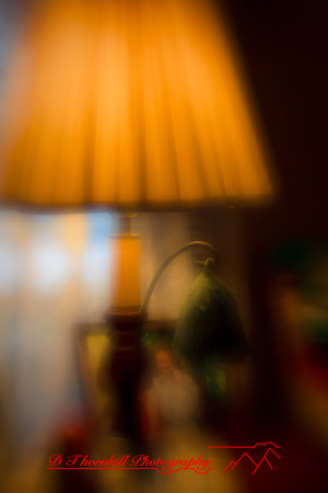 assorted_images-2009_88.jpg